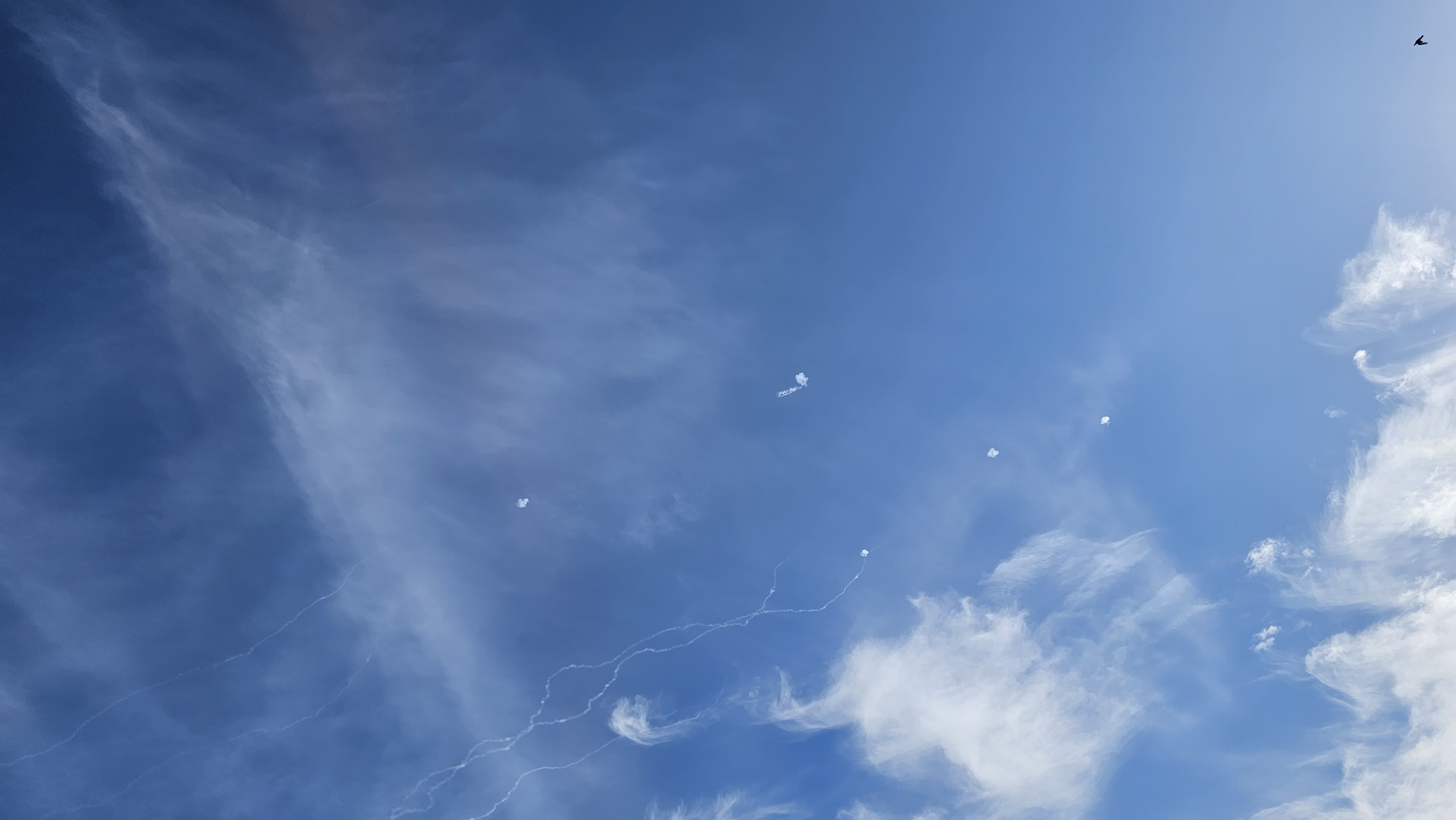 WhatsApp Image 2023-11-10 at 13.33.54.jpeg